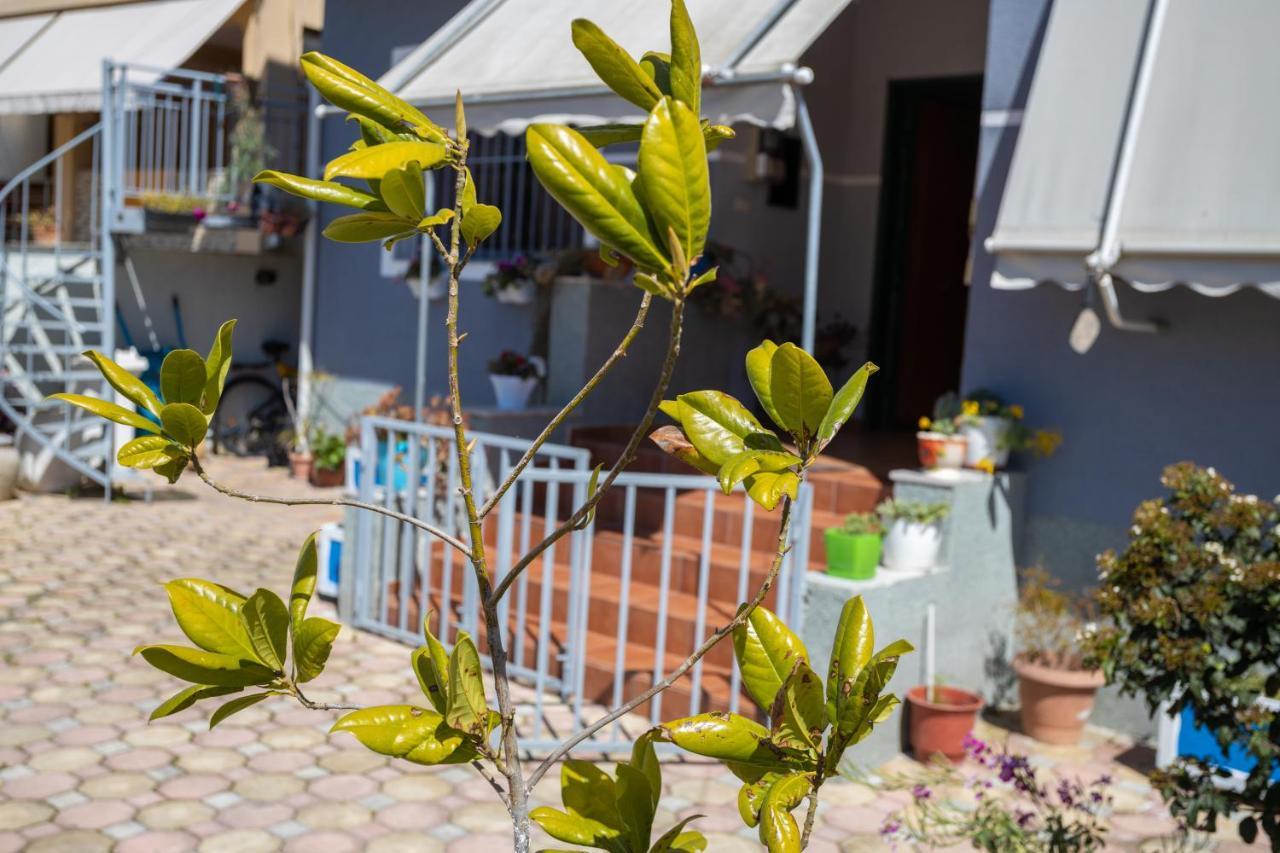 Vila Aulona Vlora Kültér fotó
